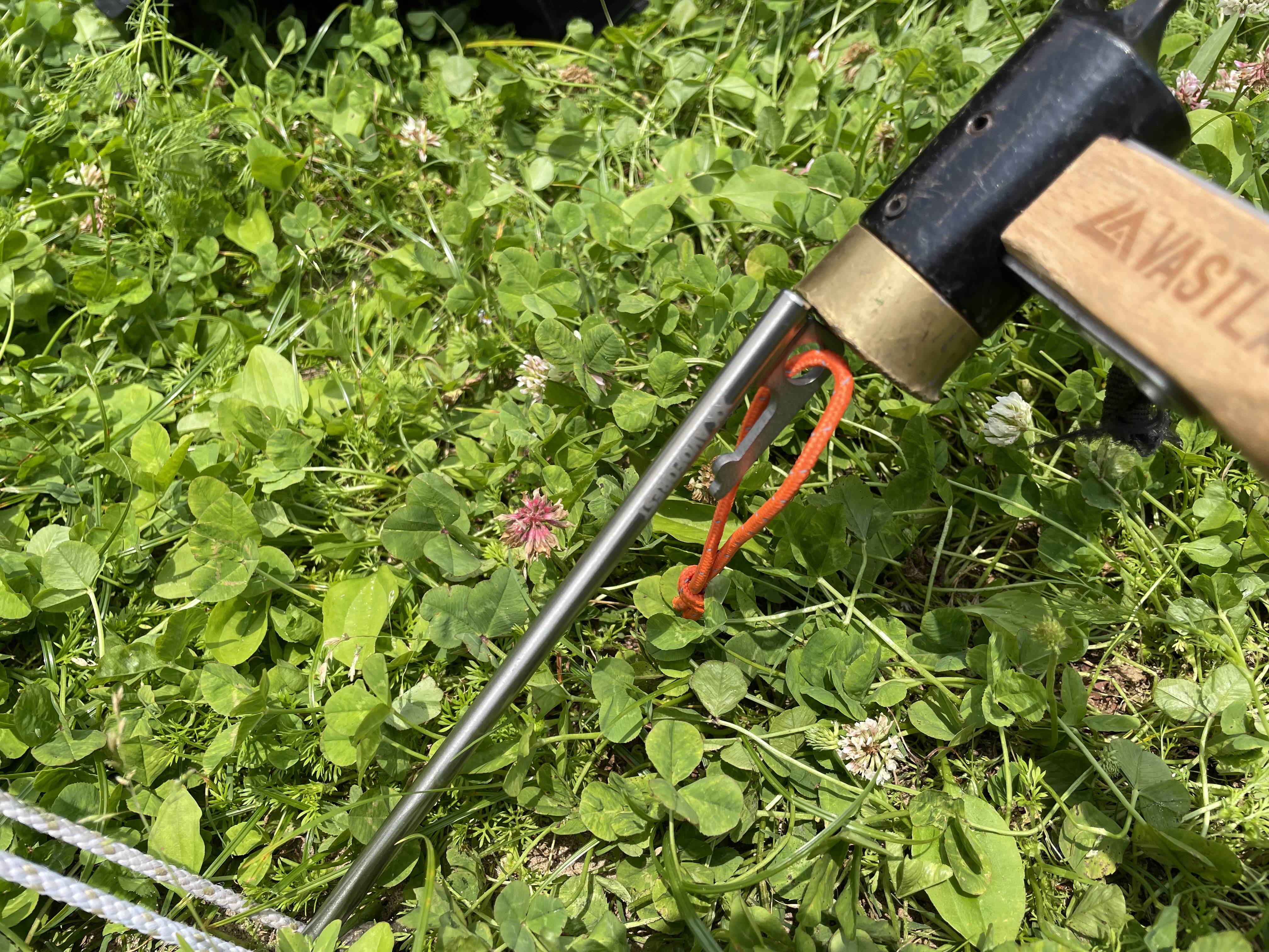 AVOFORESTのチタンペグを実際に使用している写真