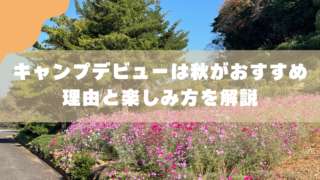 秋キャンプは子連れデビューに最適｜初心者がつまずく5つと対策 