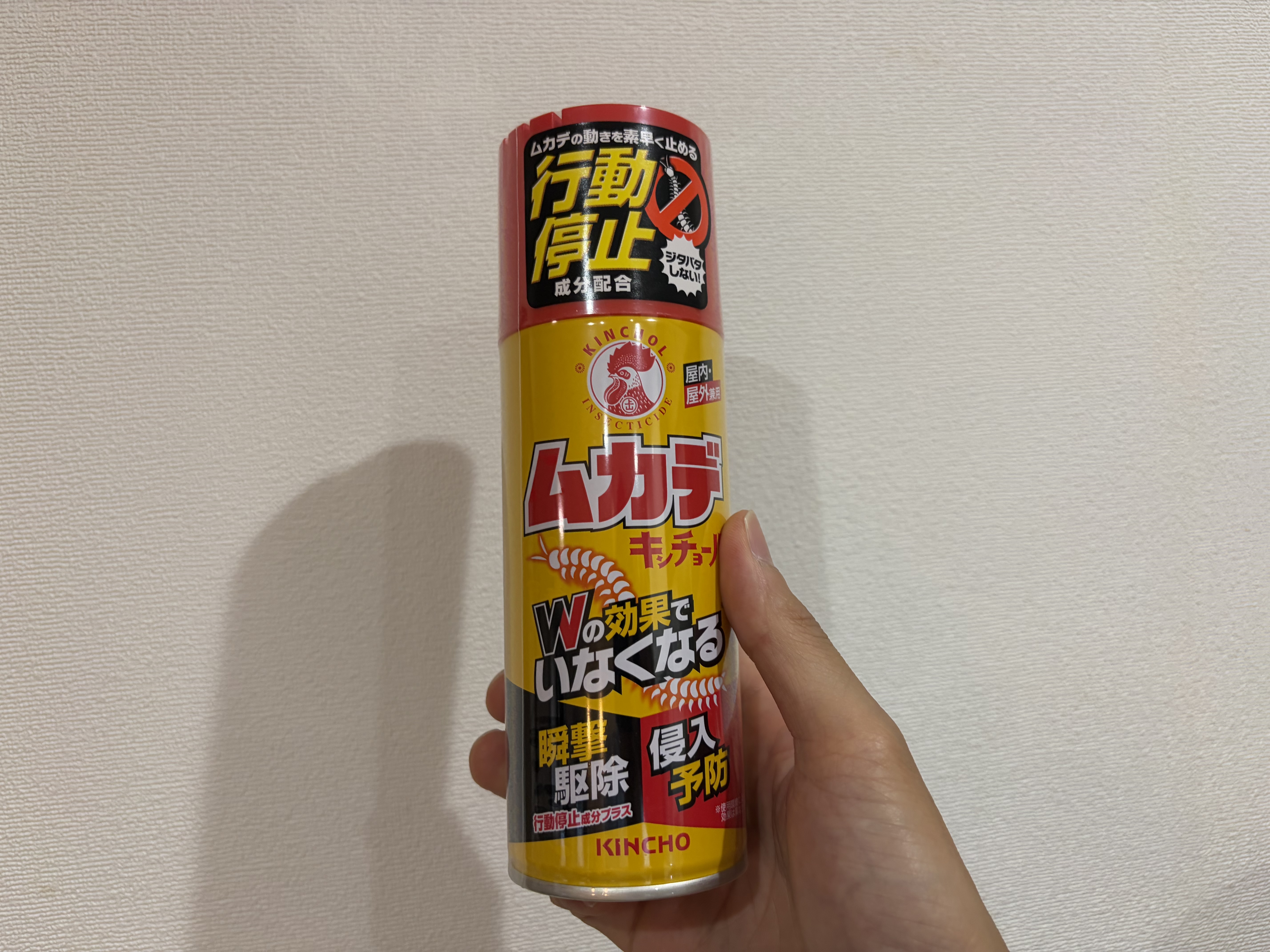 キャンプのムカデ対策に使うキンチョームカデキンチョール
