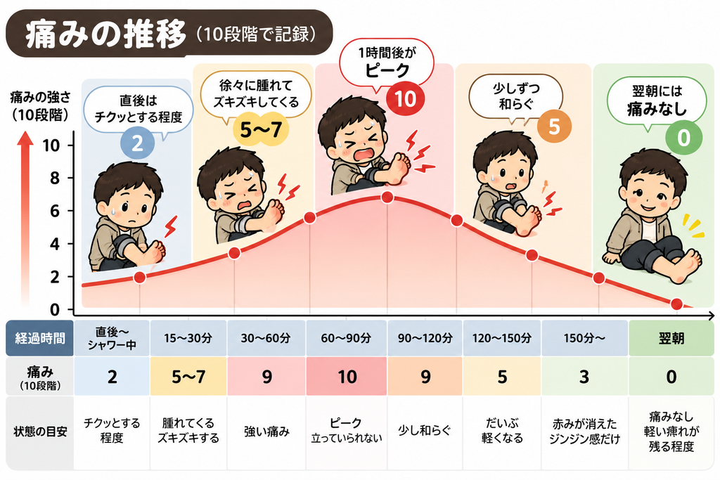 ムカデに噛まれた直後から翌朝までの痛みの推移を10段階で示したグラフ