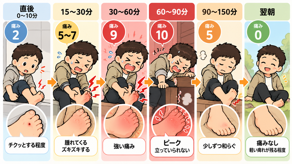 ムカデに噛まれた直後から翌朝までの痛みと腫れの変化