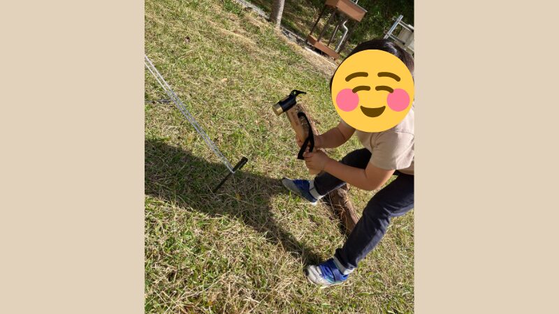 長男がテントのペグ打ちを手伝ってくれている